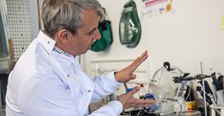 14 Prof Harris Summary