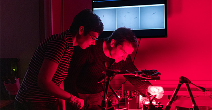 Computing Engineers Create Worm Robot. This Is Engineering. Tie. Attribution, University Of Leeds 500X450