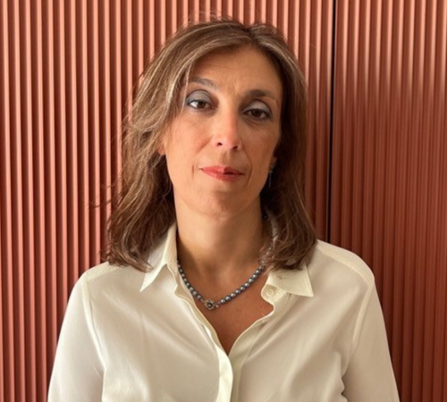 Dr Sofia Guerra FREng