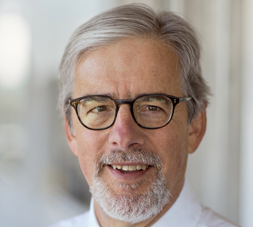 Professor Ronald Roy FREng