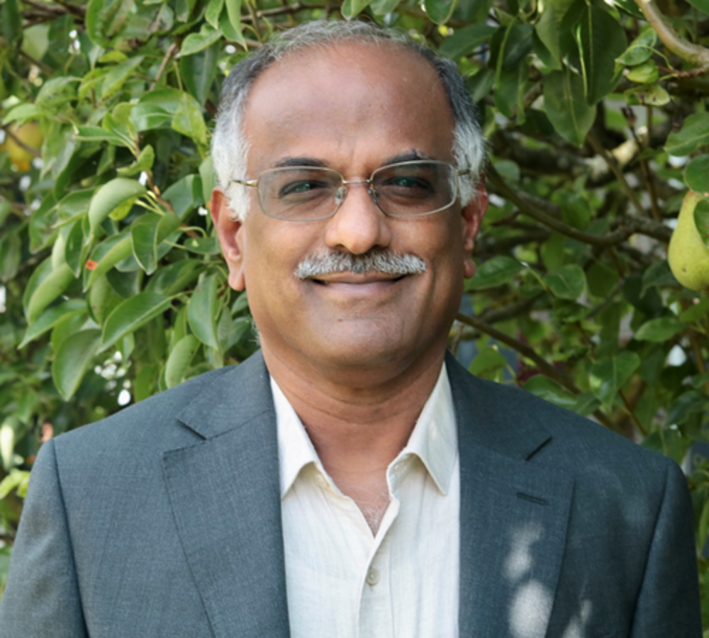 Swaminathan, Swami